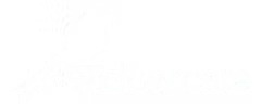 Widow Care