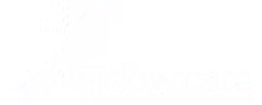 Widow Care
